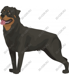  Work Rottweiler: