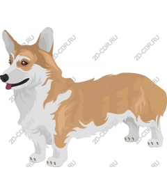  Corgi