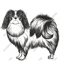 Очаровательная японская собака породы хин