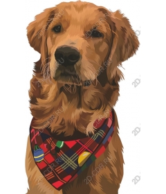  Adorable Golden Retriever