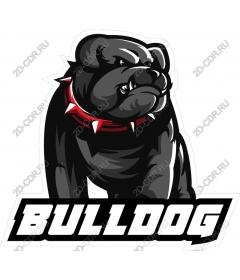  Ferocious bulldog