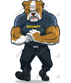  Muscular bulldog security