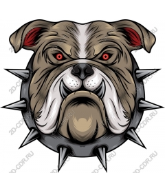  Ferocious bulldog