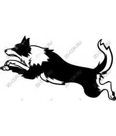 Dynamic jumping dog