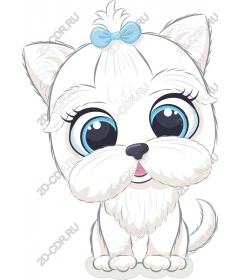  Cute fluffy puppy