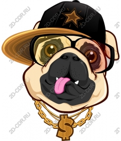  A masterpiece of urban pug
