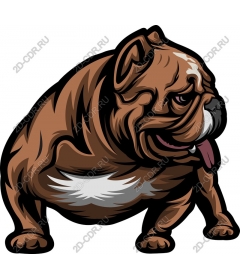 Bulldog
