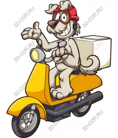 Shipping cheerful dog on a scooter