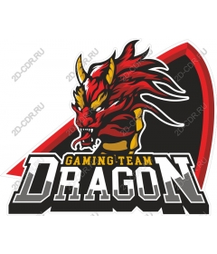 Team Dragon Gaming