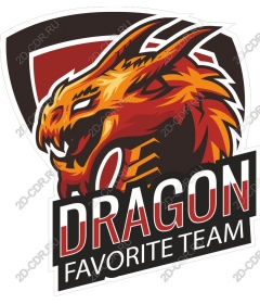  Favorite team Dragon