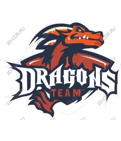  Team "Dynamic dragon"