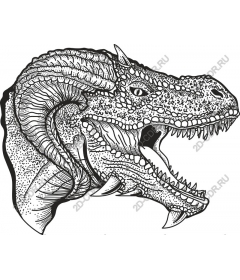  The majestic head of a dragon