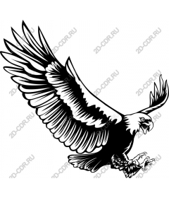Majestic Eagle