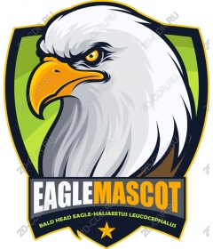  The Eagle Mascot