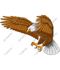 Majestic Eagle
