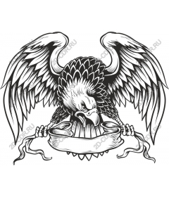 Majestic Eagle