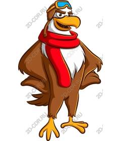  Stylish bird-pilot