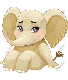  Adorable baby elephant