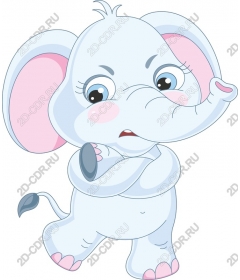 Playful baby elephant