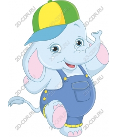 Funny elephant in the hat