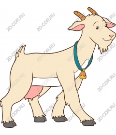 Friendly Goat