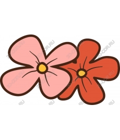 Whimsical flower duet
