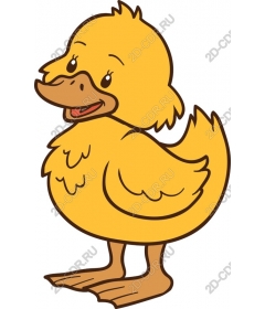  Cute cartoon duck