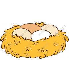  A cozy nest with eggs