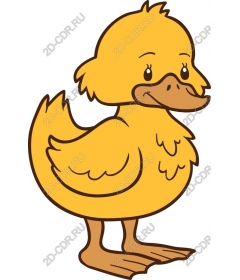  Cute cartoon yellow duck