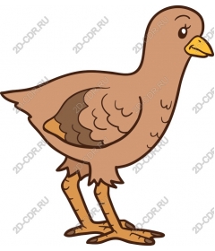  Charming brown bird