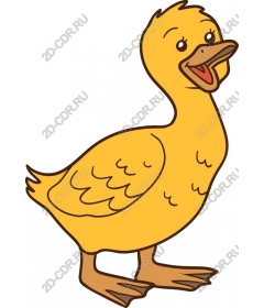  Cute cartoon duck