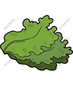  Bright fresh salad