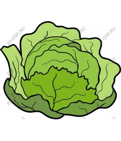 Свежий салат