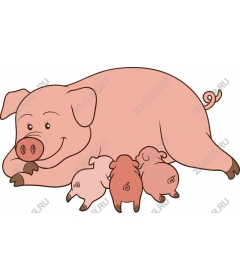  Charming Mama pig with piglets