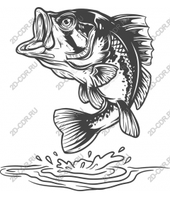  Bouncing fish-bass