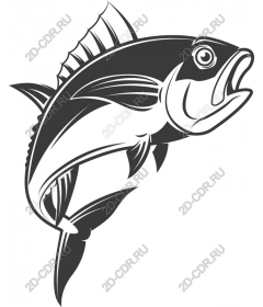 Dynamic black and white fish