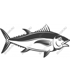  Tuna
