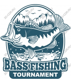 The work of the tournament for perch fishing