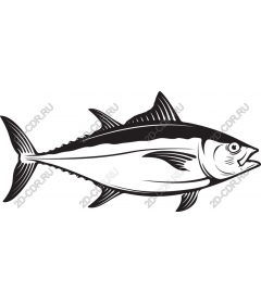 Premium black and white fish