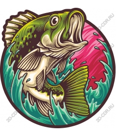  Bright Bouncing fish