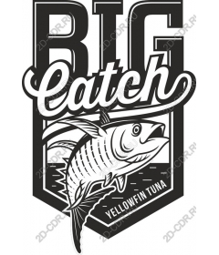 Big fish: yellowfin tuna