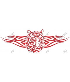  Tiger Tribe