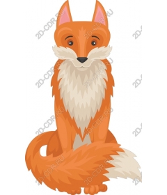 Playful orange Fox