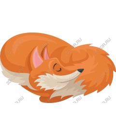  Sleeping Fox