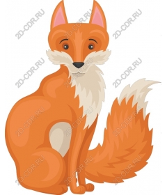  Adorable orange Fox