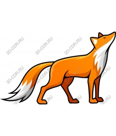  Bright foxes