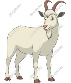  Charming Goat