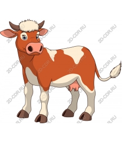  Cartoon cow