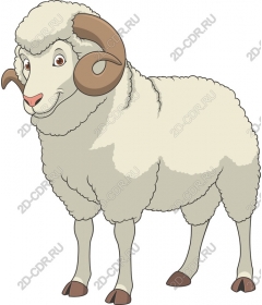  Adorable cartoon sheep