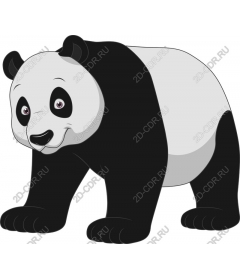  Adorable Panda
